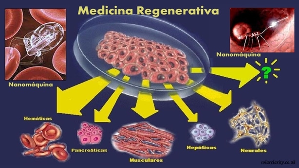Medicina regenerativa esperanza para el mundo